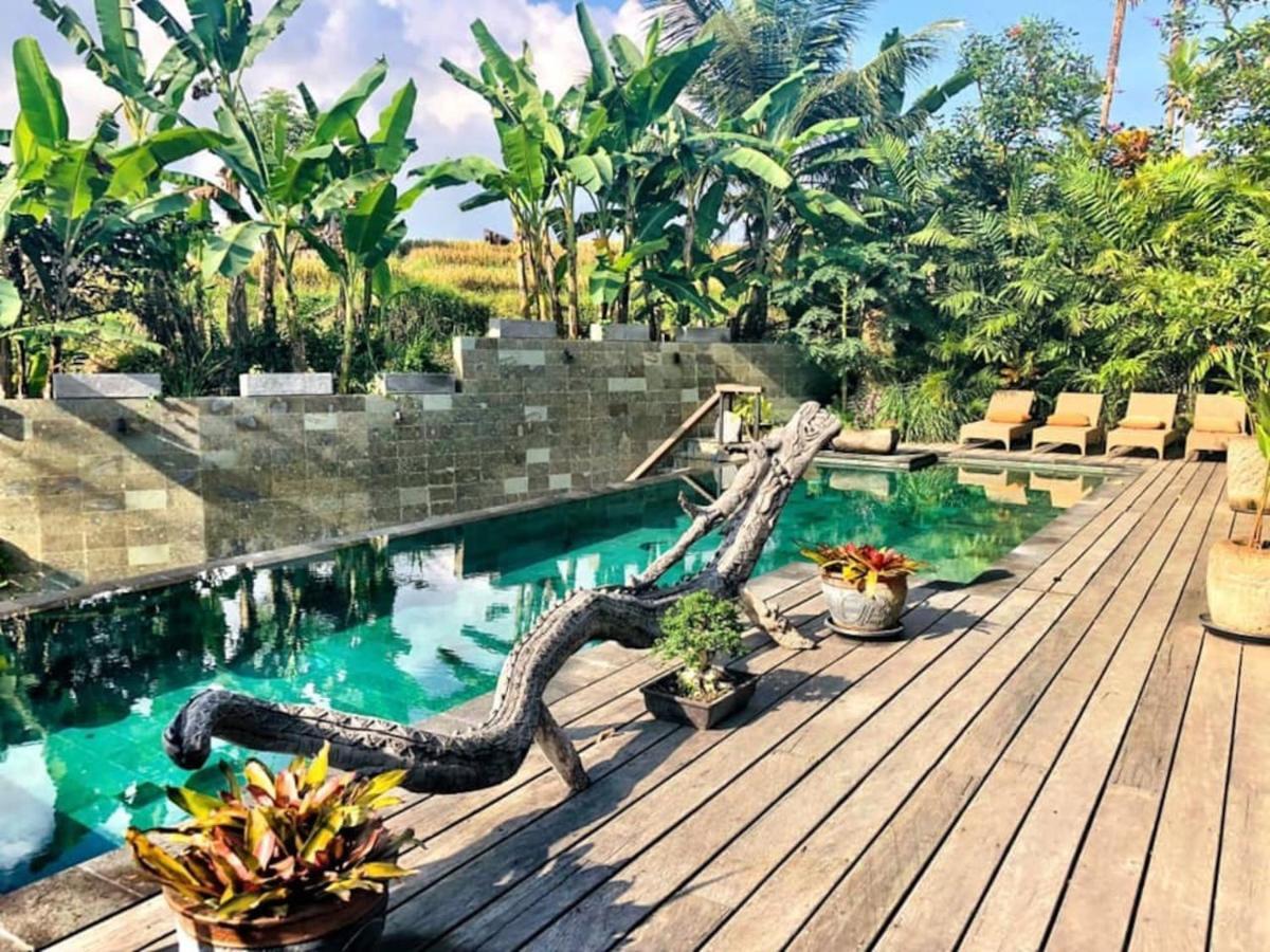 Dragon House - Your Dream House In Bali! Ubud Buitenkant foto