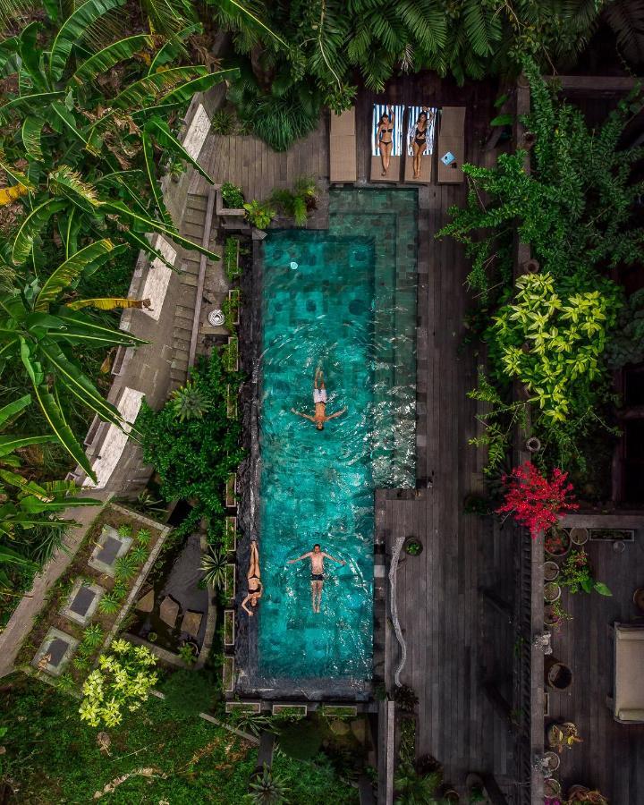 Dragon House - Your Dream House In Bali! Ubud Buitenkant foto